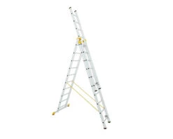 Reform Ladder 3x10 Pro