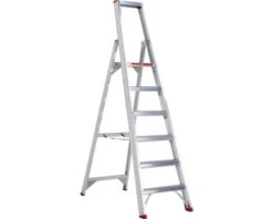 ALTREX Sierra Professionele Trap 6 Treden
